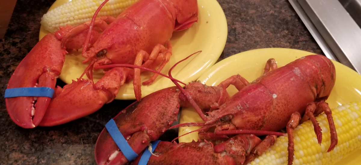 Cape Cod Lobster & Steamers Dinner Wander. Cook. Eat.
