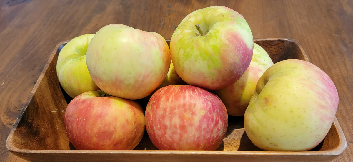 Honeycrisp applesauce naturally sweet Wander. Cook. Eat.